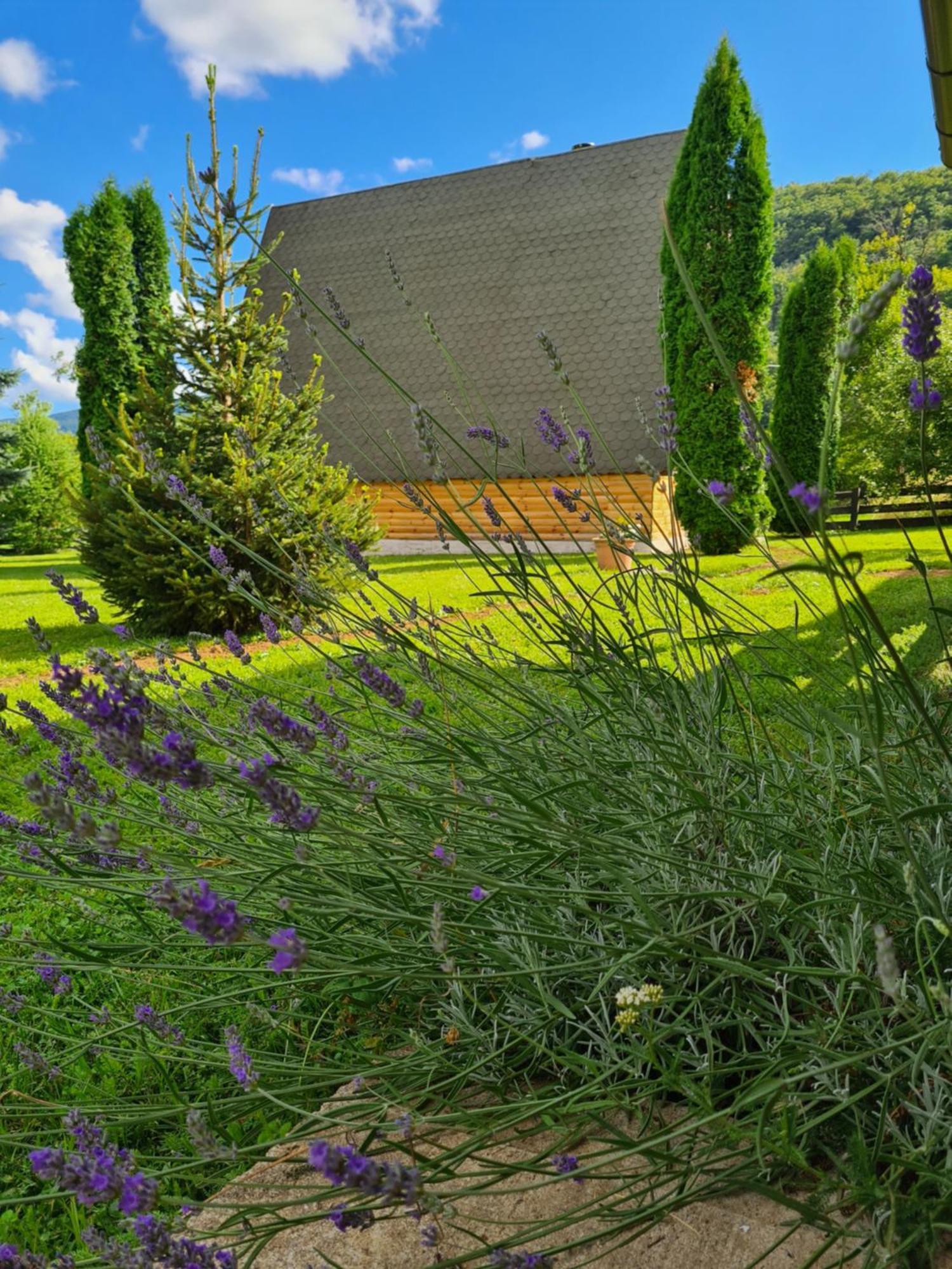 Chalet Velebitska Kuca Velika Plana Exterior foto